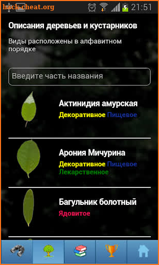 EcoGuide: Trees in Summer screenshot