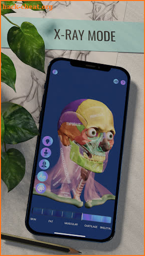 Ecorche: Portrait Anatomy screenshot