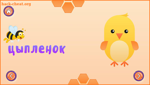 Educational Game for Kids - Bee screenshot