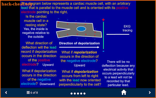 EKG - SecondLook screenshot