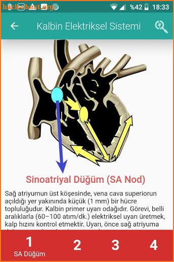 EKG Türkçe Eğitim Uygulaması screenshot