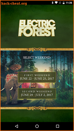 Electric Forest Festival screenshot