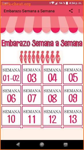 Embarazo Semana a Semana screenshot