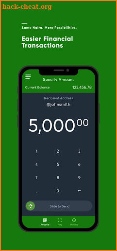 eNaira Speed Wallet (Individual) screenshot