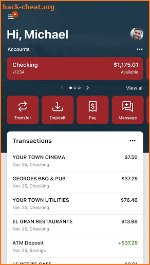 Endurance FCU Mobile screenshot