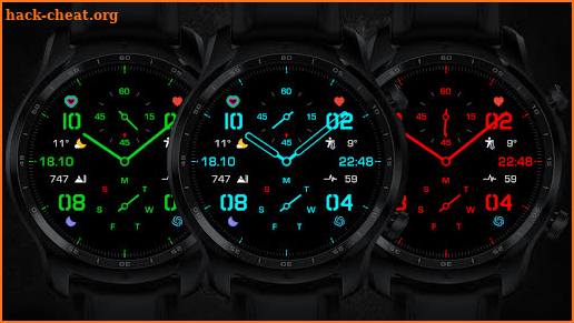 ENDURANCE Watch Face screenshot