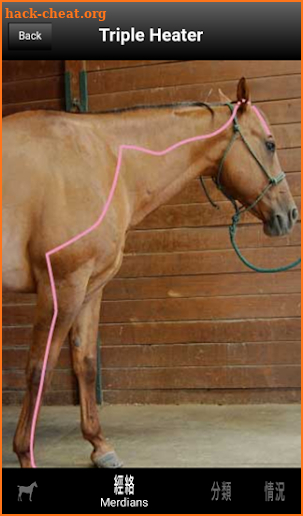 Equine AcuPoints screenshot