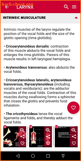 Equine Upper Respiratory Tract Guide screenshot