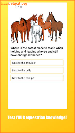 EQUIz - Horse App screenshot