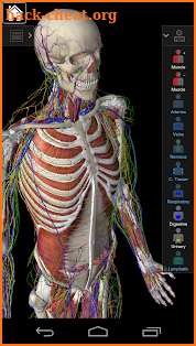 Essential Anatomy 3 screenshot