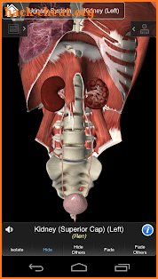 Essential Anatomy 3 screenshot