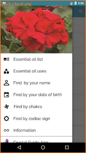 Essential oil guide screenshot