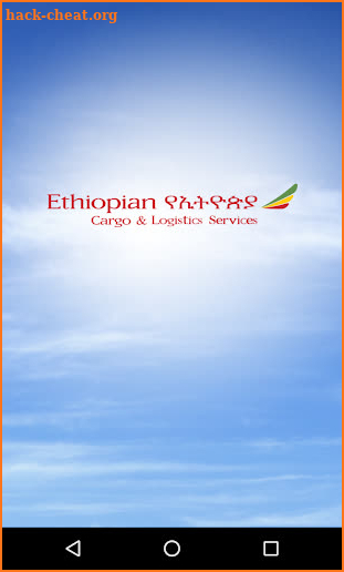 Ethiopian Cargo screenshot