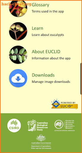 EUCLID Eucalypts of Australia screenshot