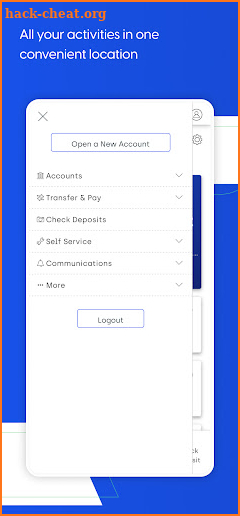 EverBank Mobile Banking screenshot