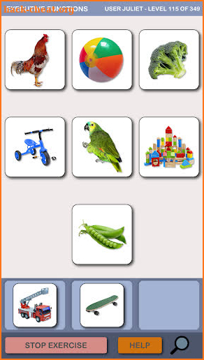 EXECUTIVE FUNCTIONS 1 - Working Memory screenshot