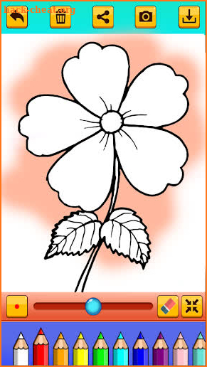 Exotic Flower Coloring Book screenshot