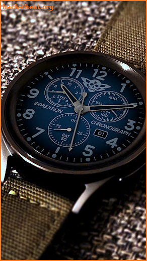 Expedition Chronograph screenshot