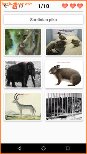 Extinct animals, endangered species! Rare animals screenshot