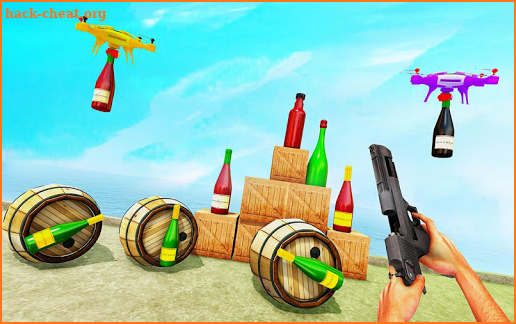 Extreme Bottle Shooting 2019 screenshot