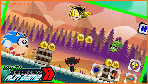 Extreme The Blue Hedgehog Run Game 2021 screenshot