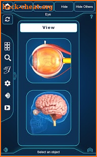 Eye Anatomy Pro. screenshot