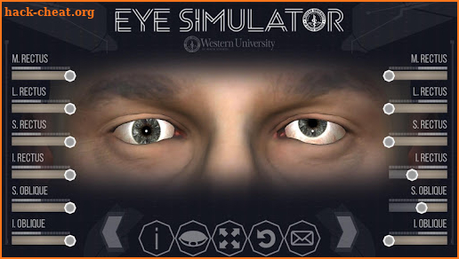 EyeSim screenshot