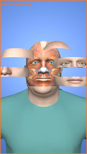 Face Stack screenshot