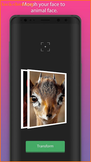 Face Transformer screenshot