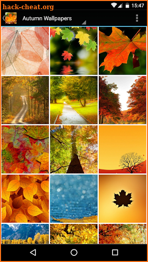 Fall Wallpapers screenshot