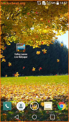 Falling Leaves Live Wallpaper screenshot