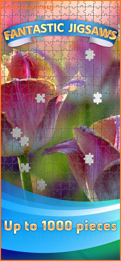 Fantastic Jigsaw Puzzles screenshot