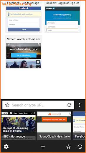 Fastfox Browser screenshot