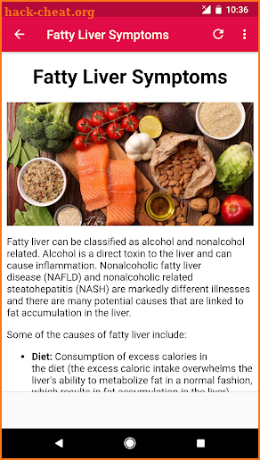 Fatty Liver Diet screenshot