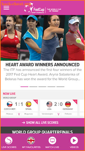 Fed Cup screenshot