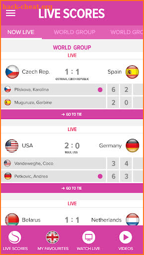 Fed Cup screenshot