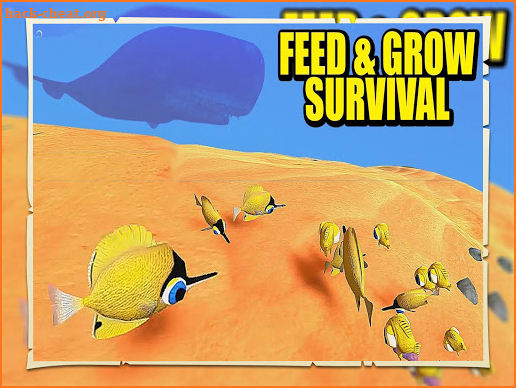 Feed and Grow Fish Simulator Gameplay Walkthrough screenshot