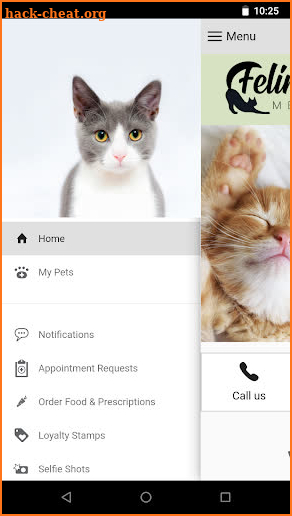 Feline Vet Med Center screenshot