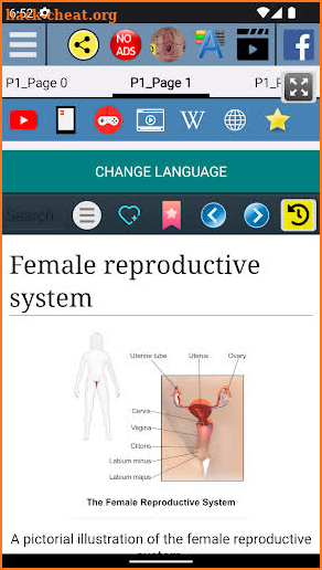 Female reproductive system screenshot