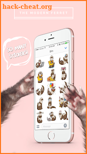 Ferret Stickers by The Modern Ferret screenshot