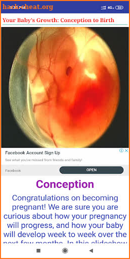 Fetal development stages screenshot