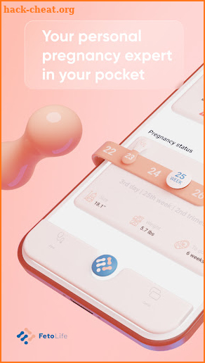 FetoLife Pregnancy Health App screenshot