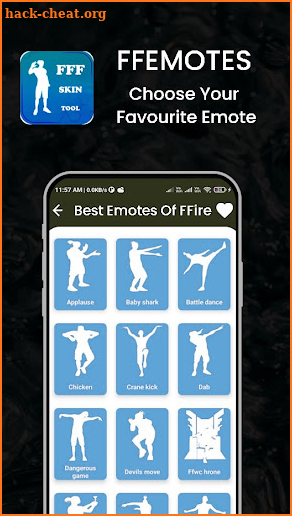 FFF FF Skin Tool screenshot