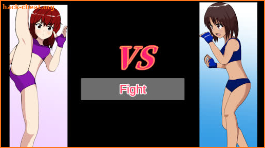 Fighting Girls screenshot