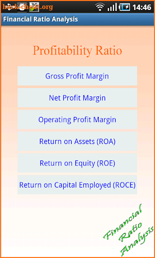 Financial Ratio Analysis screenshot