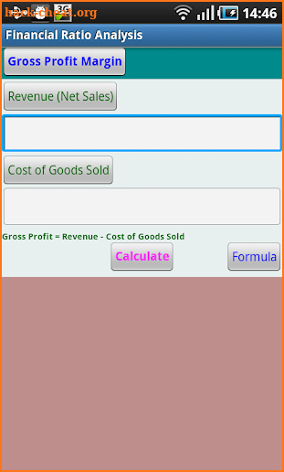 Financial Ratio Analysis screenshot