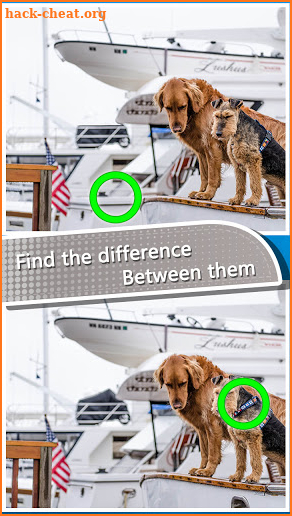 Find the differences - Brain Differences Puzzle 5 screenshot