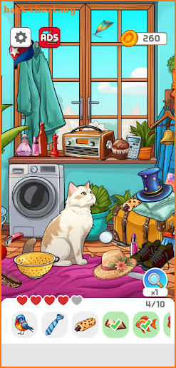 Find the Hidden Objects screenshot