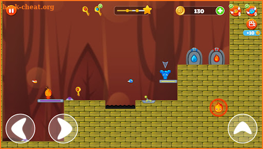 Fire and Water 2 player game screenshot