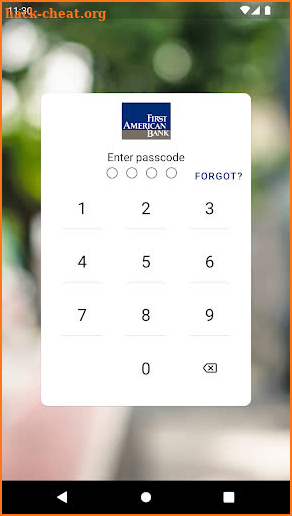 First American Bank screenshot